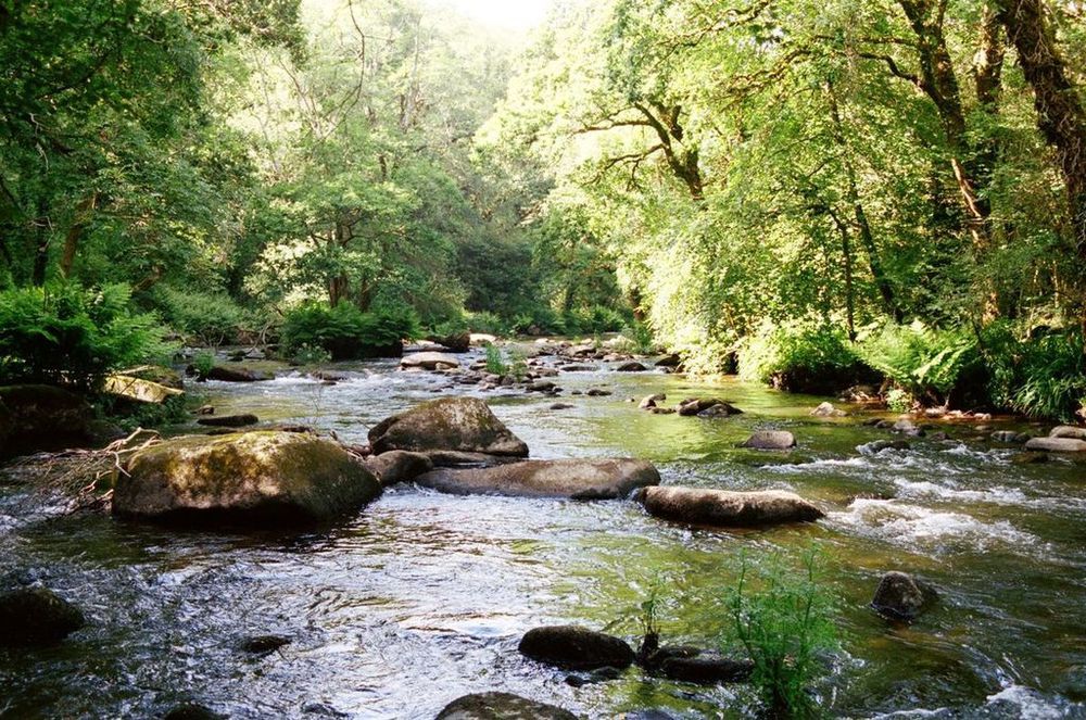 Stangala