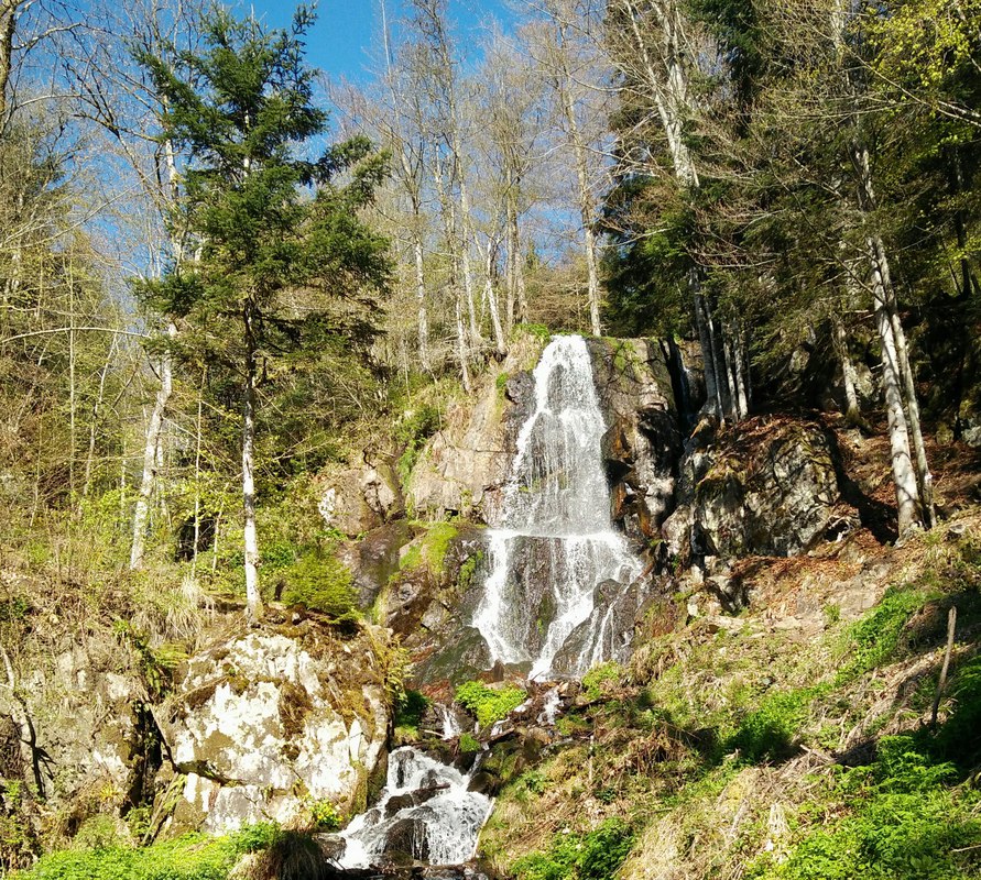 les cascades du Hohwald