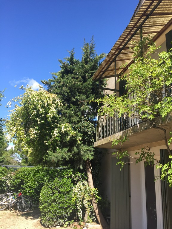 à l'arrière de la maison