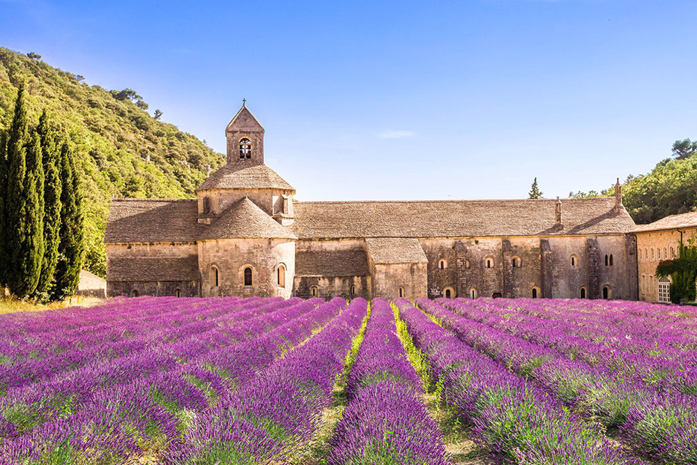 Abbaye de Sénanque (45 km de Pertuis)