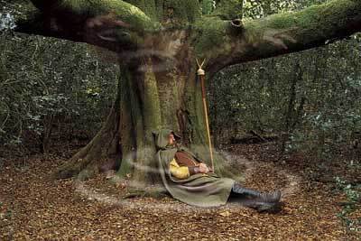 forêt de Brocéliande et sa magie