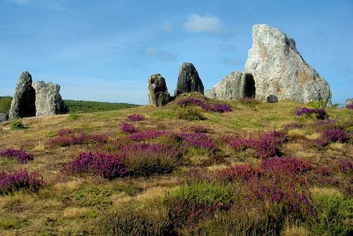 les landes de Cojoux à Saint just (15km)