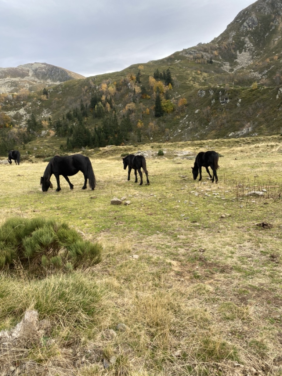 Monts d'Olmes