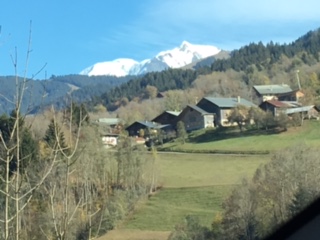 vue sur les alpages et au loin le Mont Blanc