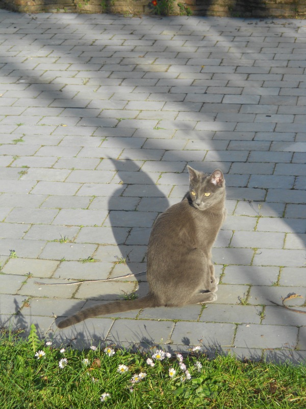 Notre petite Cléo, alias Cléopatre