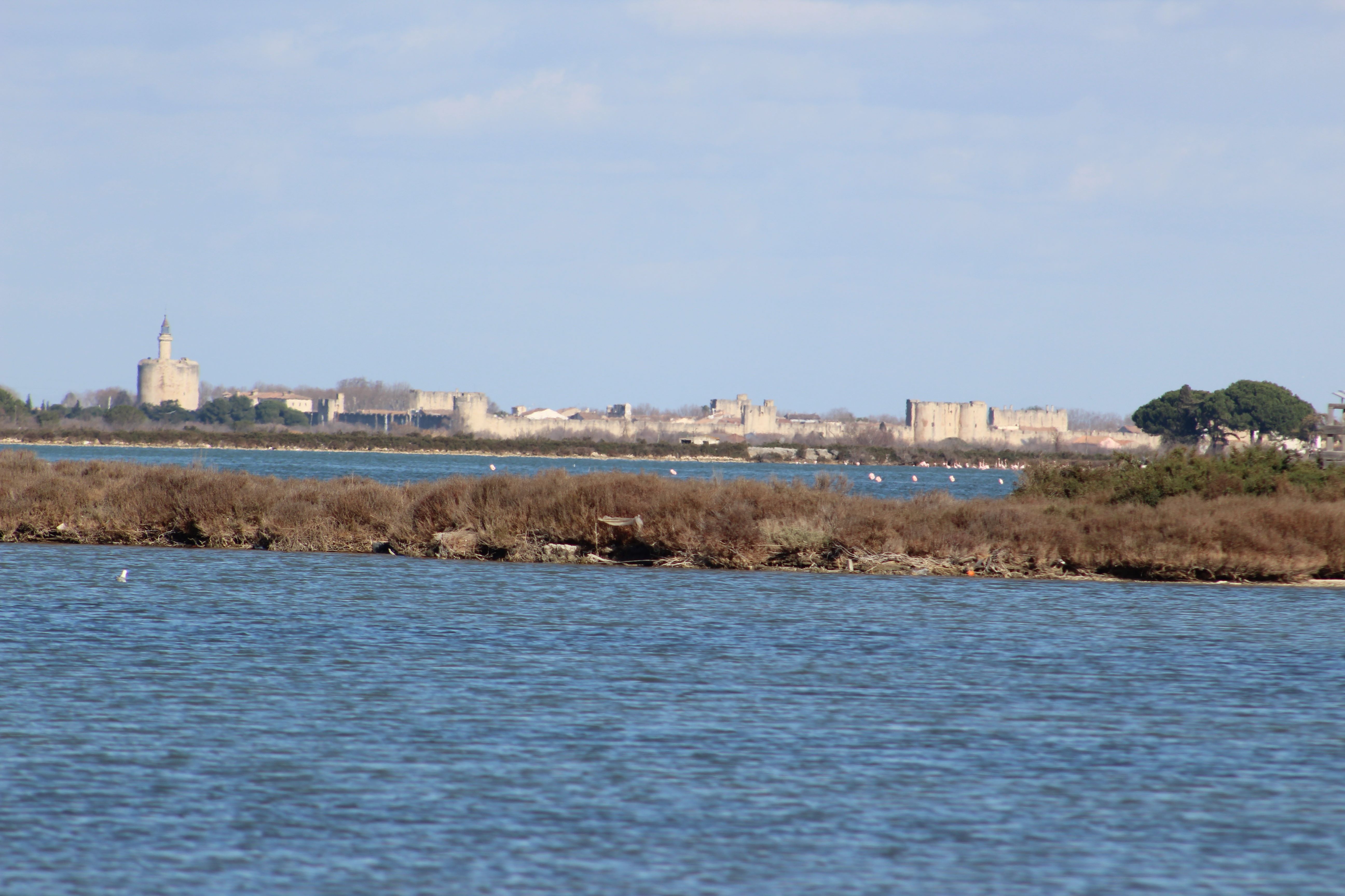 Aigues-Mortes vue des étangs du Grau du Roi