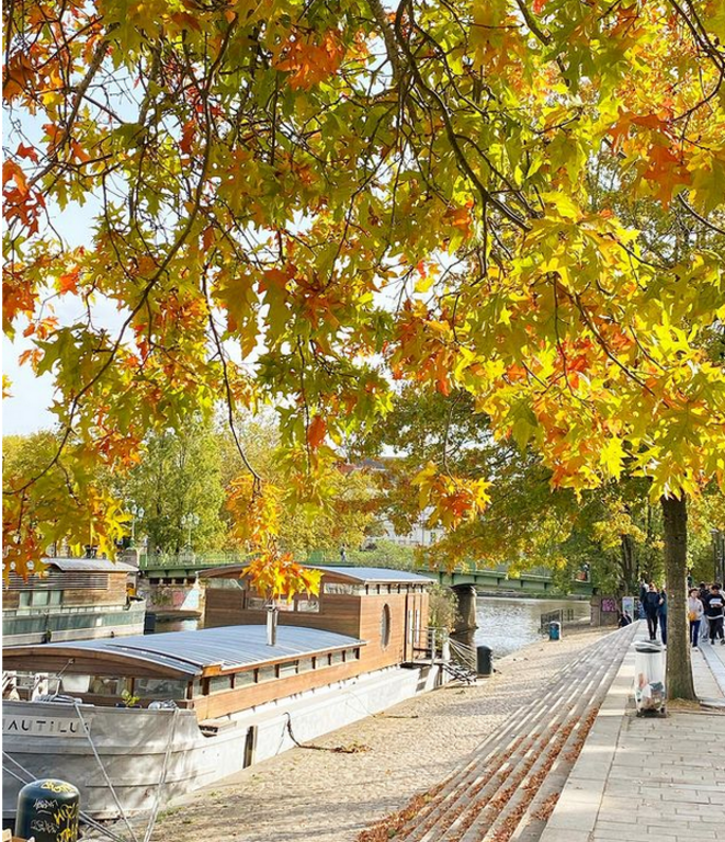 Bateau sur les bords de l'Erdre