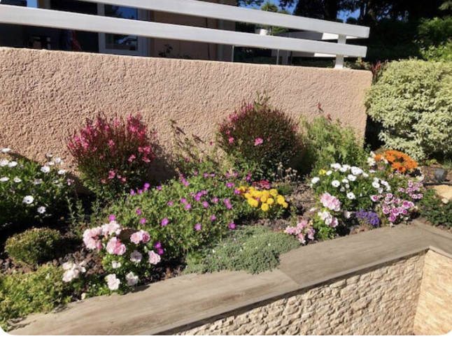 Notre jardin