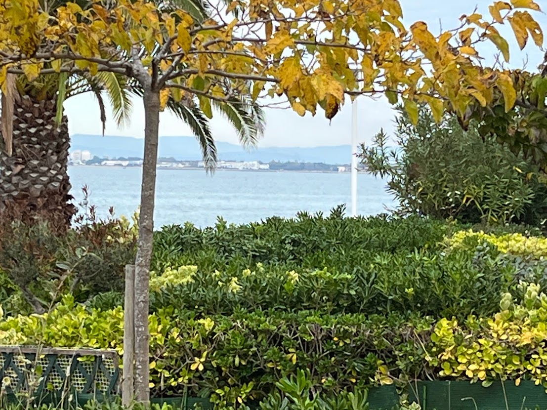 vue depuis le jardin