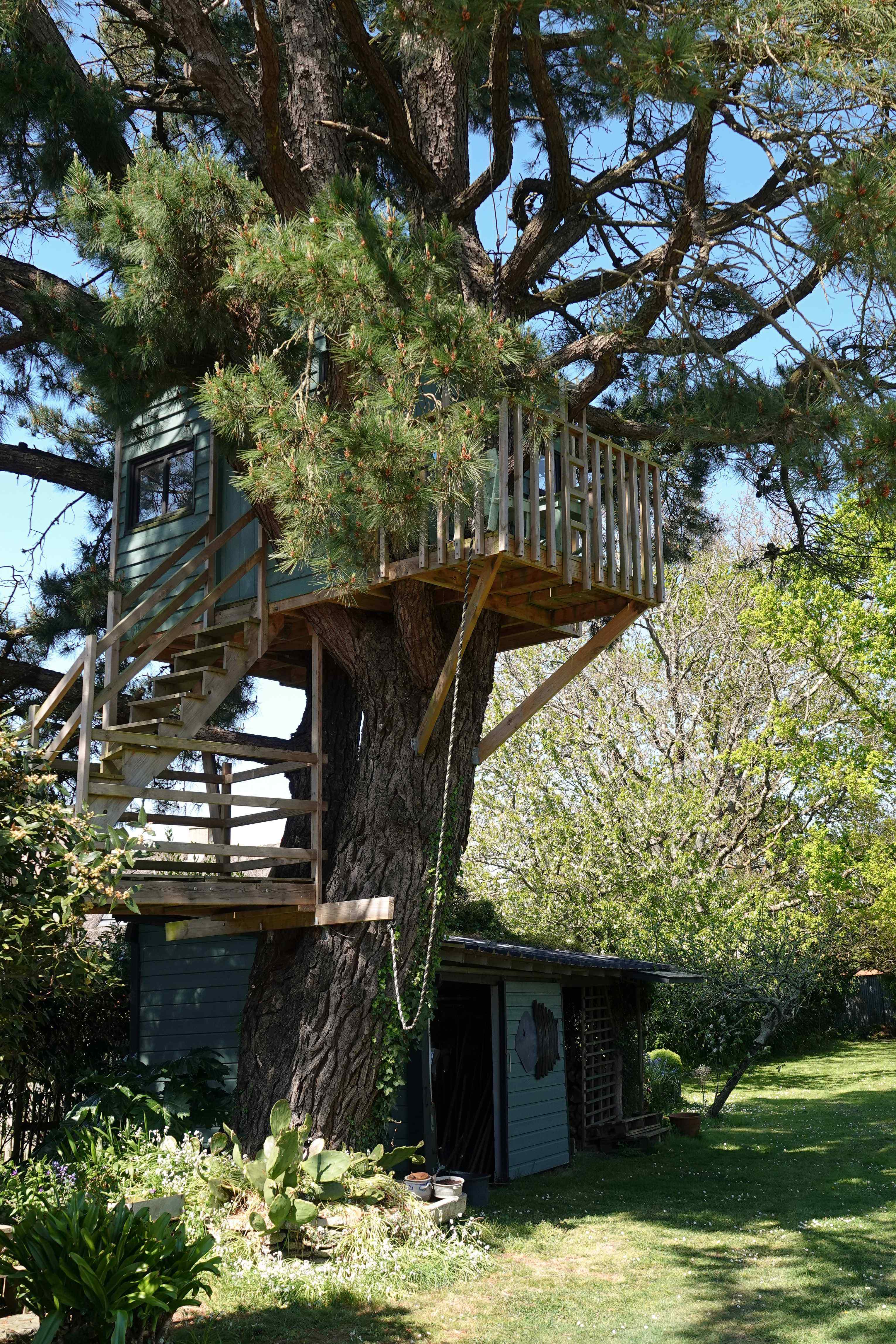 La cabane perchée