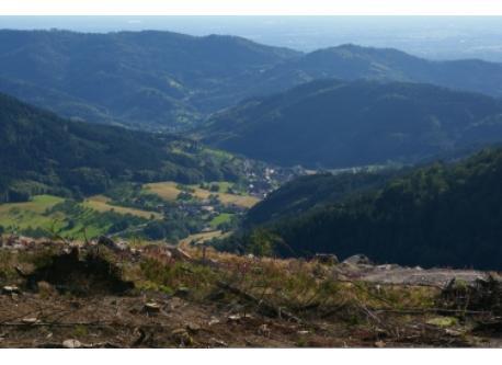 Vosges du Nord