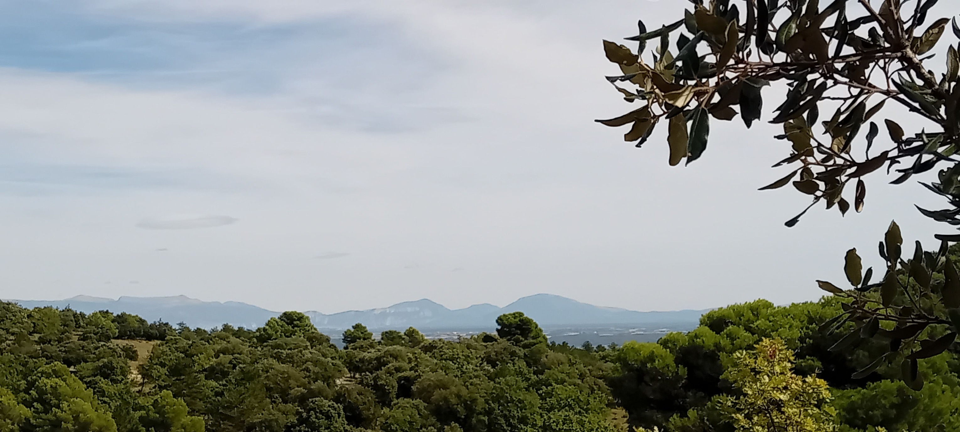 Vue sur le plateau de Valensole