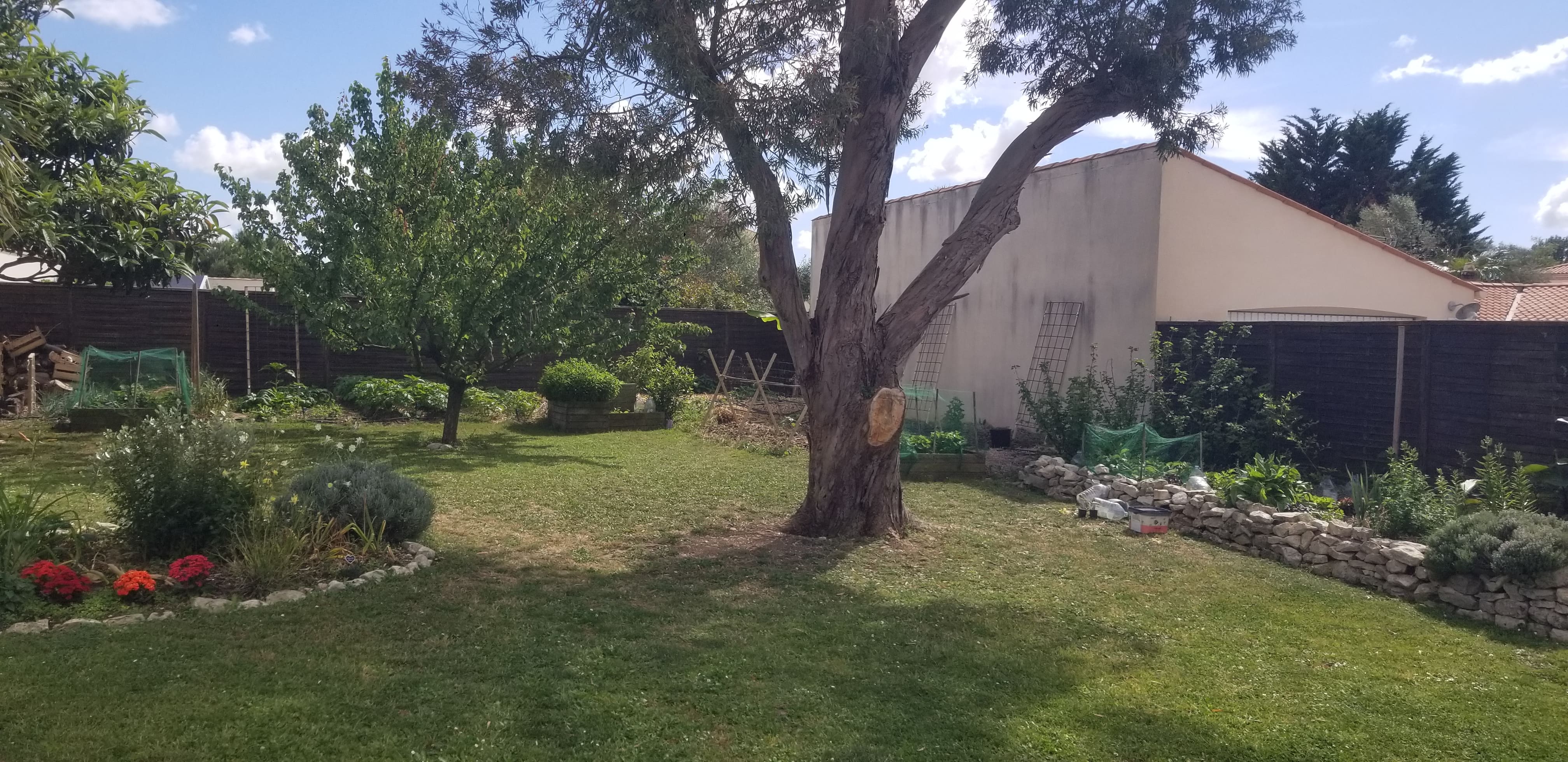 Jardin