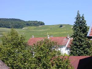 Vue sur les vignes