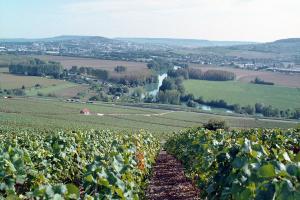 Vallée de la Marne