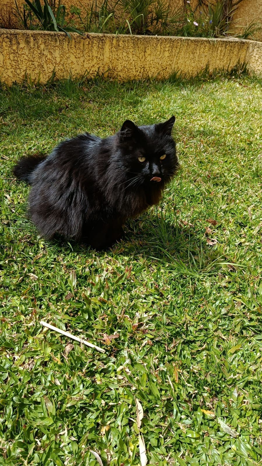 Harry indépendant qu'il faudra seulement nourrir.