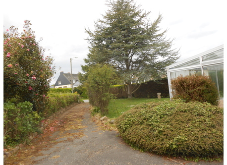 jardin de la maison, fleuri toute l'année