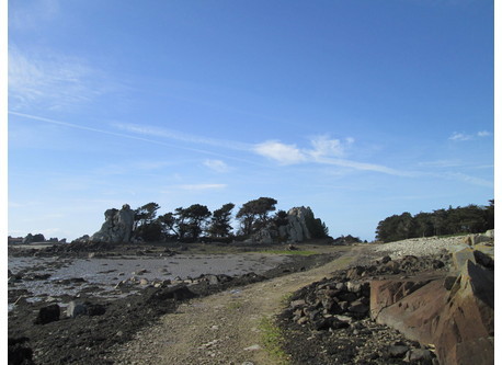 La côte à marée basse, à pied depuis la maison