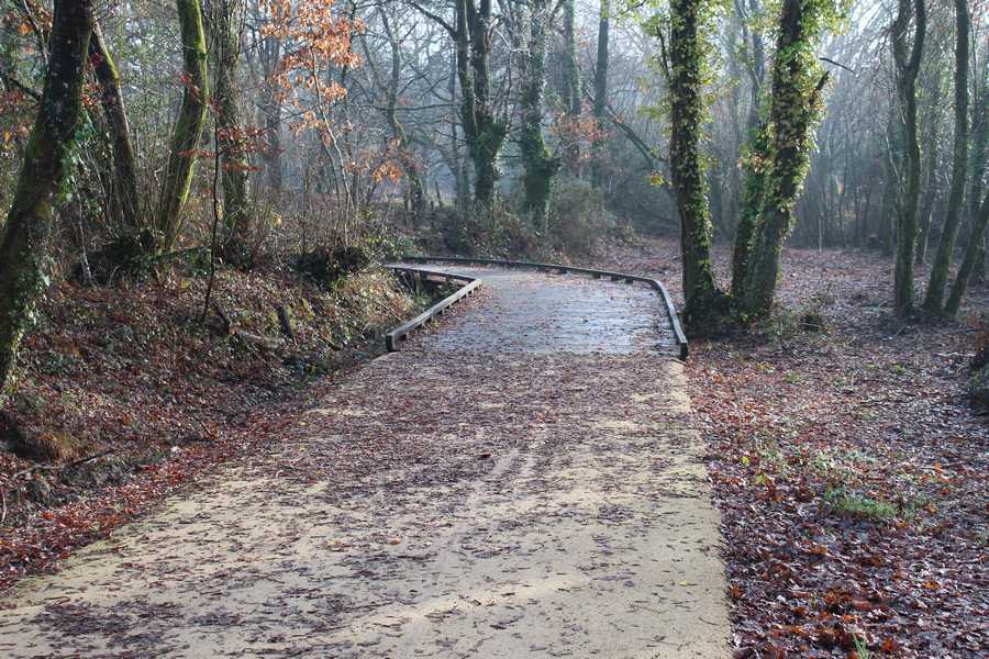 Chemin de Saint Jacques de Compostelle derrière la maison