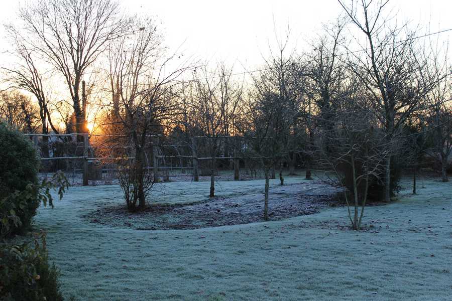 Jardin - Potager côté est