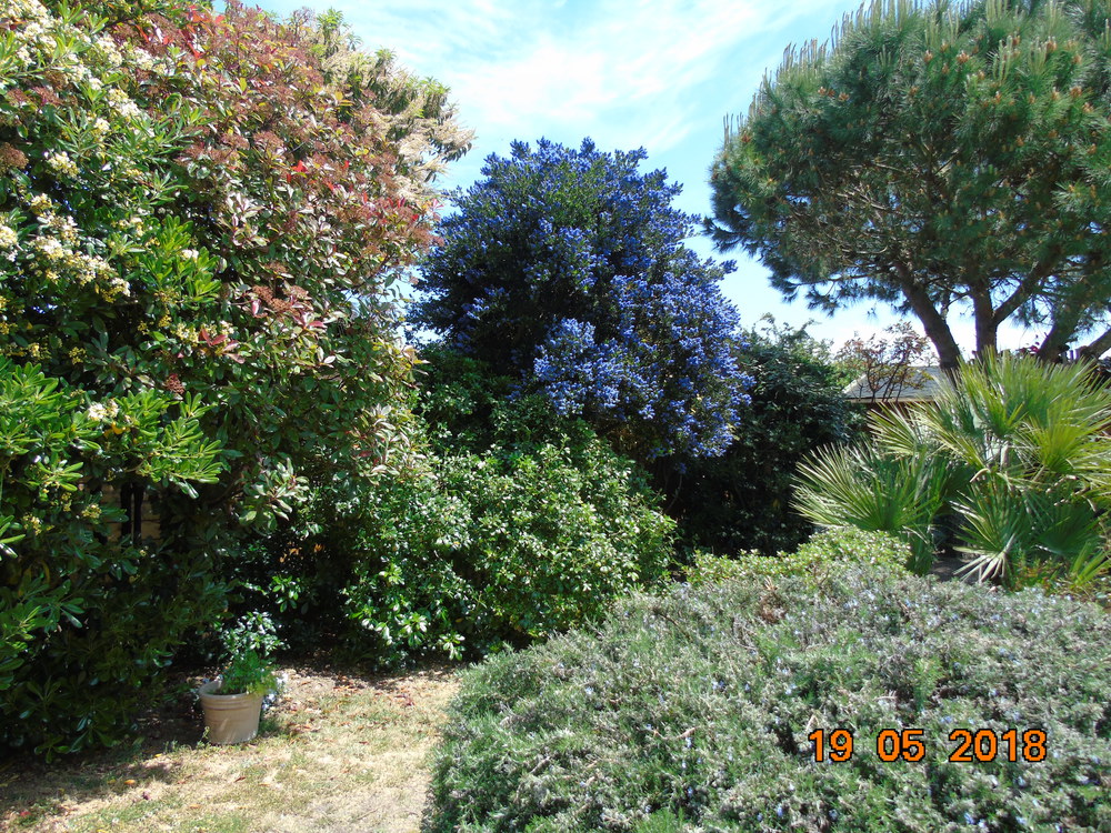 JARDIN Cote TERRASSE