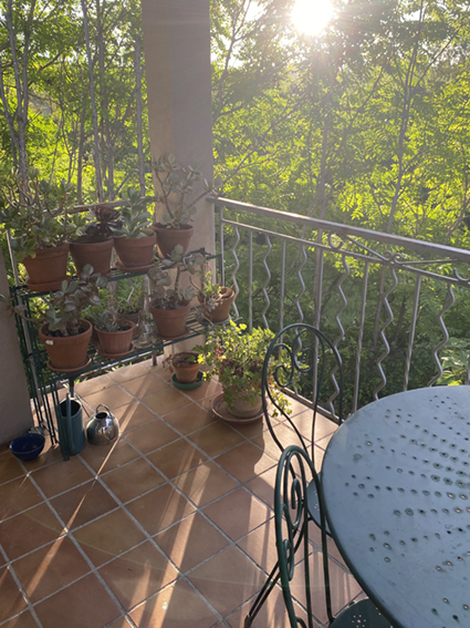 terrasse vue sud-est